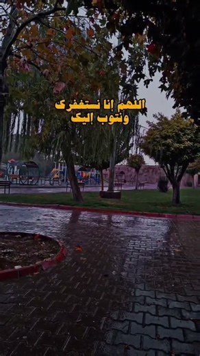 تطبيقات يبحث عنها نصف سكان العالم