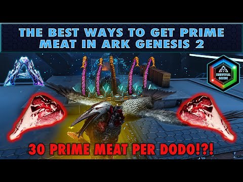 The Best Ways to get Prime Meat in Ark Genesis 2 or Any Ark Map