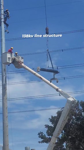 #power line structure | life of line