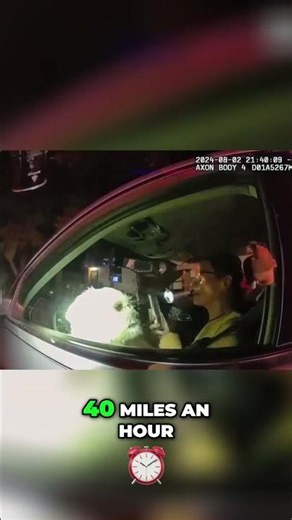 Traffic Stops When Comedy Meets Compliance!