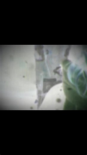 HI TIK TOK, this is our song