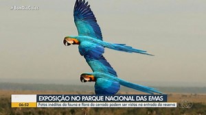 Fotos da fauna e flora do cerrado são expostas na porta do Parque Nacional das Emas