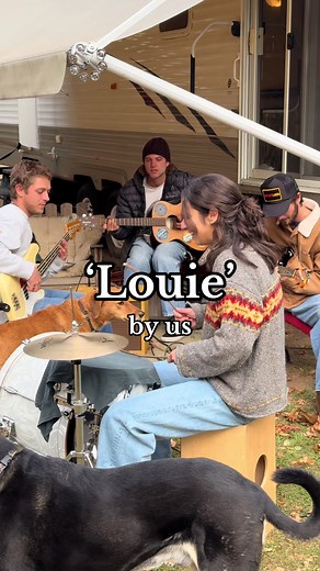 Dog Actors in 'Louie' Music Video | Original Surf Rock Song