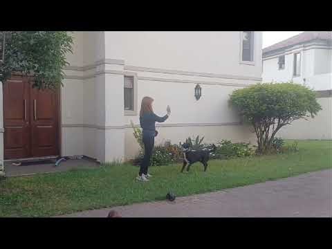 BLAZE TDCH coordination 