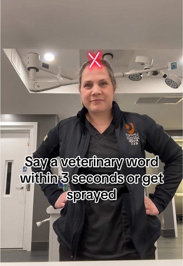 Say a Veterinary word within 3 seconds or get sprayed😆 #fyp #rvt #vetmed
