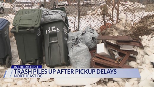 DC trash piles up after pick-up delays weeks after winter storm