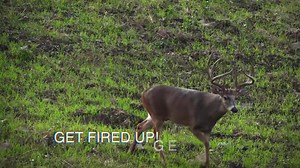 Oklahoma's LARGEST hunting & fishing expo!! State Fair Park -OKC, OK. Feb.28th-Mar.1st www.backwoodsshow.com | Backwoods Hunting and Fishing Expo