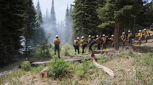 14K views · 315 reactions | When firefighters are trying to protect...