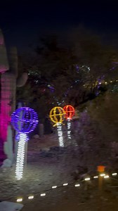 The Phoenix Arizona Zoo Lights 🌟 Was Pure Magic #travel #phoenix #Arizona #zoo #lights #pure #magic | Sam Stacks