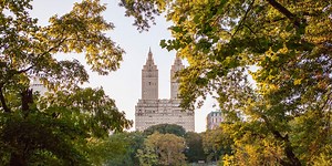 Iconic Central Park Walking Tour