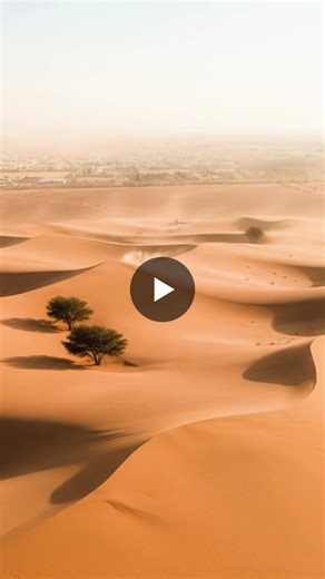 ‏#desertfarming #uaeagriculture #hydroponics #verticalfarming #foodsecurity #agritech #sustainability #innovation #emiratesinsider‏ | ‏Emirates Development Bank (EDB)‏