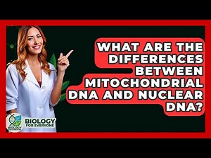 What Are The Differences Between Mitochondrial DNA And Nuclear DNA? - Biology For Everyone