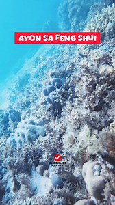203K views · 617 reactions | AYON SA FENG SHUI | Checklist Studio | Facebook