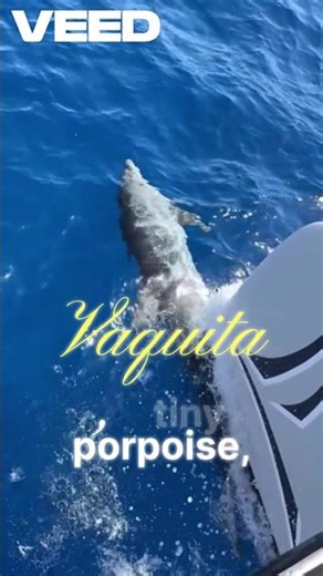 These species remind us what we’ve lost.#naturefacts