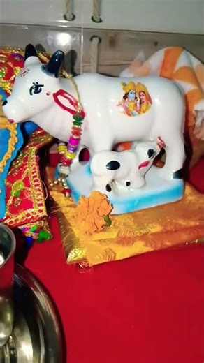 "कान्हा जी New Look Darshan🙏♥️ #popular#short#trending#viral