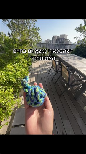 הספארי: קופים ועולם פראי