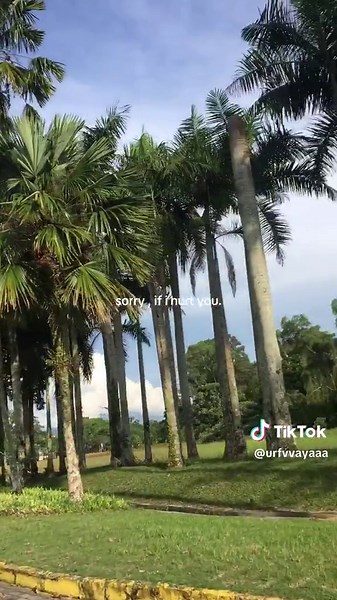 Exploring Tropical Landscapes: Serene Outdoor Scenes