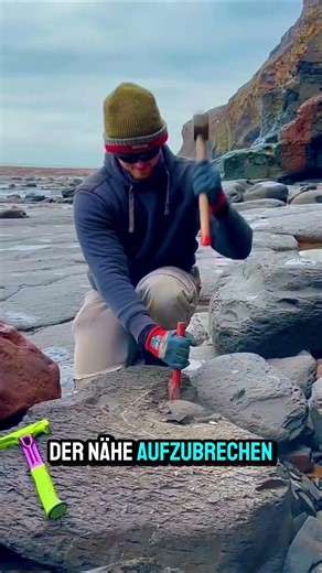 Strange fossils in the rock