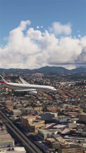 Emergency Landing – Pilot Fighting to Keep Control #019