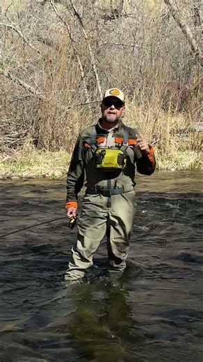 It's Time to Fish BWO's