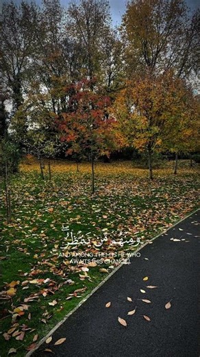 #بدر_التركي