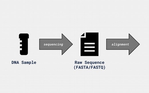 What is a Variant Call Format (VCF) file? - Precision Oncology Solutions | GenomOncology