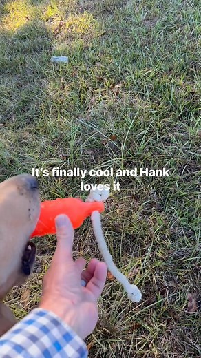 Hank was running some pattern blinds today. This was a mark after the last one. | Jerry Holden