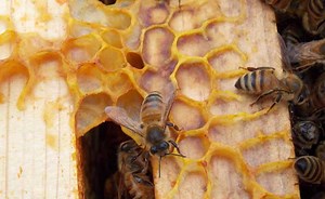 Graad 6: Wiskundevraestel en -memo, derde kwartaal - LitNet