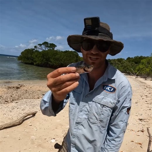 1.8M views · 19K reactions | Surviving With No Food, No Water, No Shelter! | Back 2 Basics Adventures | Facebook