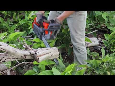 Husqvarna T540xp Mark 3 First Starts and Cuts - Husqvarna's New Top Handle Chainsaw