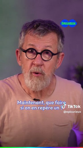 Comment se débarrasser du frelon asiatique