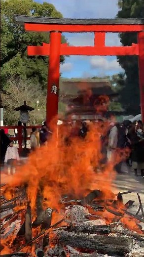 気がつけば、何時だって！ #有頂天家族 #下鴨神社 #京都 #新年