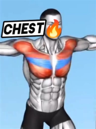 Chest🔥 #musculation #motivation #gym #fitness #worklife
