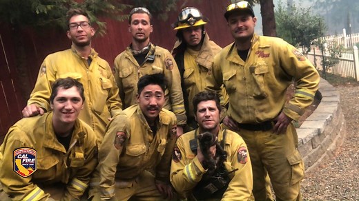 CAL FIRE Engine Crew shelters and cares for a cat found while working the #CampFire. | CAL FIRE