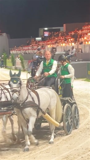 Les tours d’honneur en attelage au CHI de Genève !😍#equestrian #horses #attelage