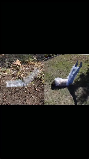 Alfred “Fredo” Thomas III on Instagram: "10/10 on originality 😂 Subscribe to my YouTube with the link in my bio 🤙🏾 #fredotv #comedy #reaction"