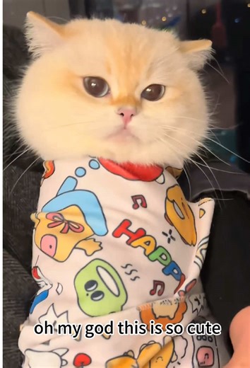 The washable and scratch - resistant cat restraint wrap makes cleaning the face easy～ #catlifestyle #catgroomingaccessoryset #dailycatgrooming #colorfast #petgrooming