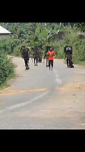 Are you ready for cultural practice and tradition of African tribe tonight #africanculture #africanhistory | Wonder Offiong Udok