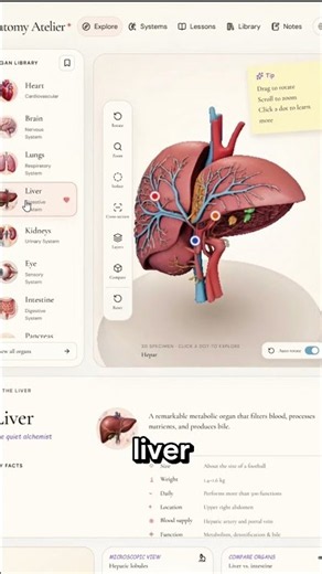 Explore Human Organs in 3D, Free
