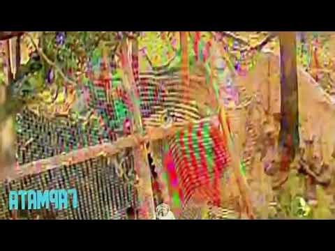 Ukrainian FPV Drones with Thermal Scope Take Down Russian Troops