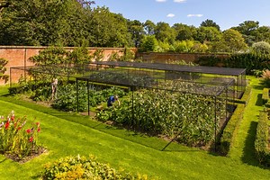 Walk-In Steel Fruit Cages - Harrod Horticultural