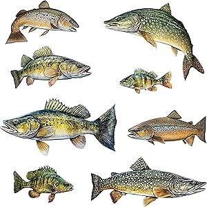 Fish Wall Decals - Brown Trout, Walleye, Yellow Perch, Northern Pike - Wall Stickers - Fly Fishing Decor