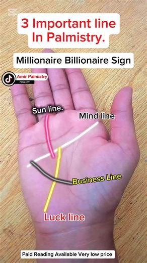 Understanding Palm Reading and Palmistry Techniques