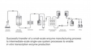 Scaling up manufacturing when it’s needed most: TheraPure nucleotides and enzymes - Scientific Videos | Thermo Fisher Scientific US