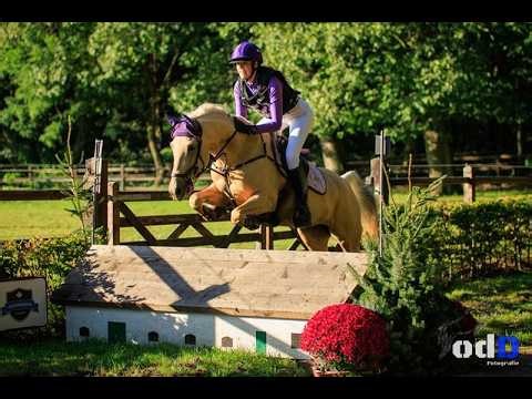 2026 Palomino pony LK indoor jumping