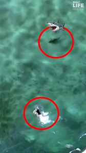 The shark came TOO close! 🦈😱 #realliferescue #reels | Real Life Rescue