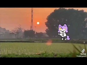 Dancing with Amethyst