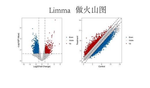 保姆级教程之limma包做差异分析火山图