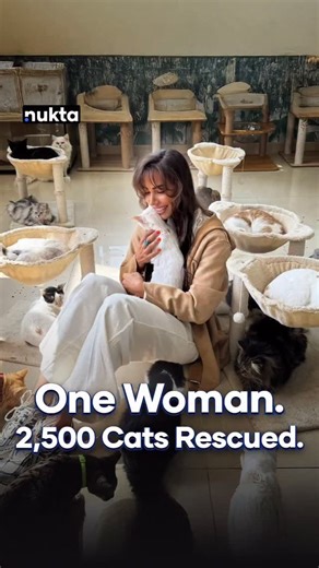 Nukta Dubai on Instagram: "40 cats in her home 500 in her sanctuary 2,500 lives saved in total🐾 We spent the day with Dina Taji @dubaistreetkitties inside her Dubai home, where rescued cats heal, recover, and wait for their forever families. What started as feeding a few stray cats on the streets turned into a full sanctuary saving hundreds of lives. 🎥 Watch the full story on YouTube Producer: Fatima Benhaddou Video Producers: Azeem Amin & Adnan Tariq Video Editor: Azeem Amin #DubaiLife #Dubai