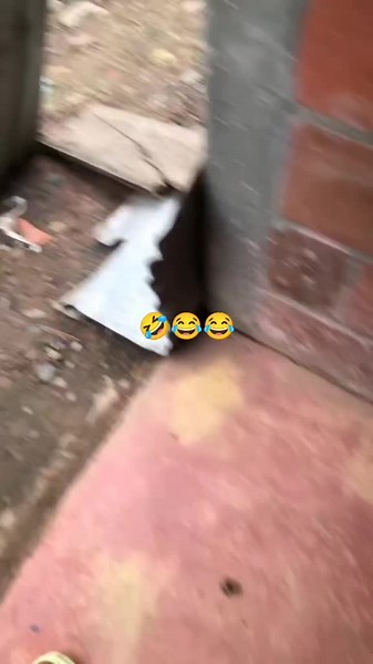 a quien no le han dedicado esa canción 😂🤣🤣💯🇨🇴